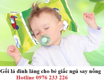 Gối đinh lăng cho bé sơ sinh, gối được làm từ bông gòn thiên nhiên 100%
