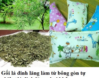 Gối đinh lăng cho bé, gối lá đinh lăng