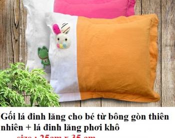 Gối lá đinh lăng cho bé tại Quảng Ngãi